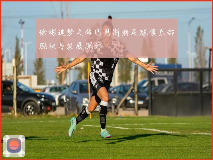 徐彬追梦之路巴恩斯利足球俱乐部现状与发展探讨
