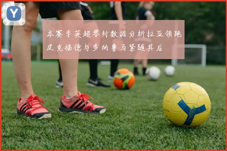 本赛季英超零封数据分析拉亚领跑皮克福德与多纳鲁马紧随其后